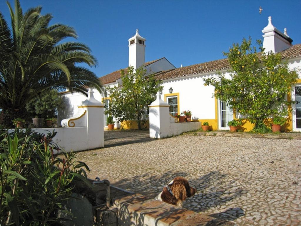 Monte da Japónica Vila Redondo Exterior foto